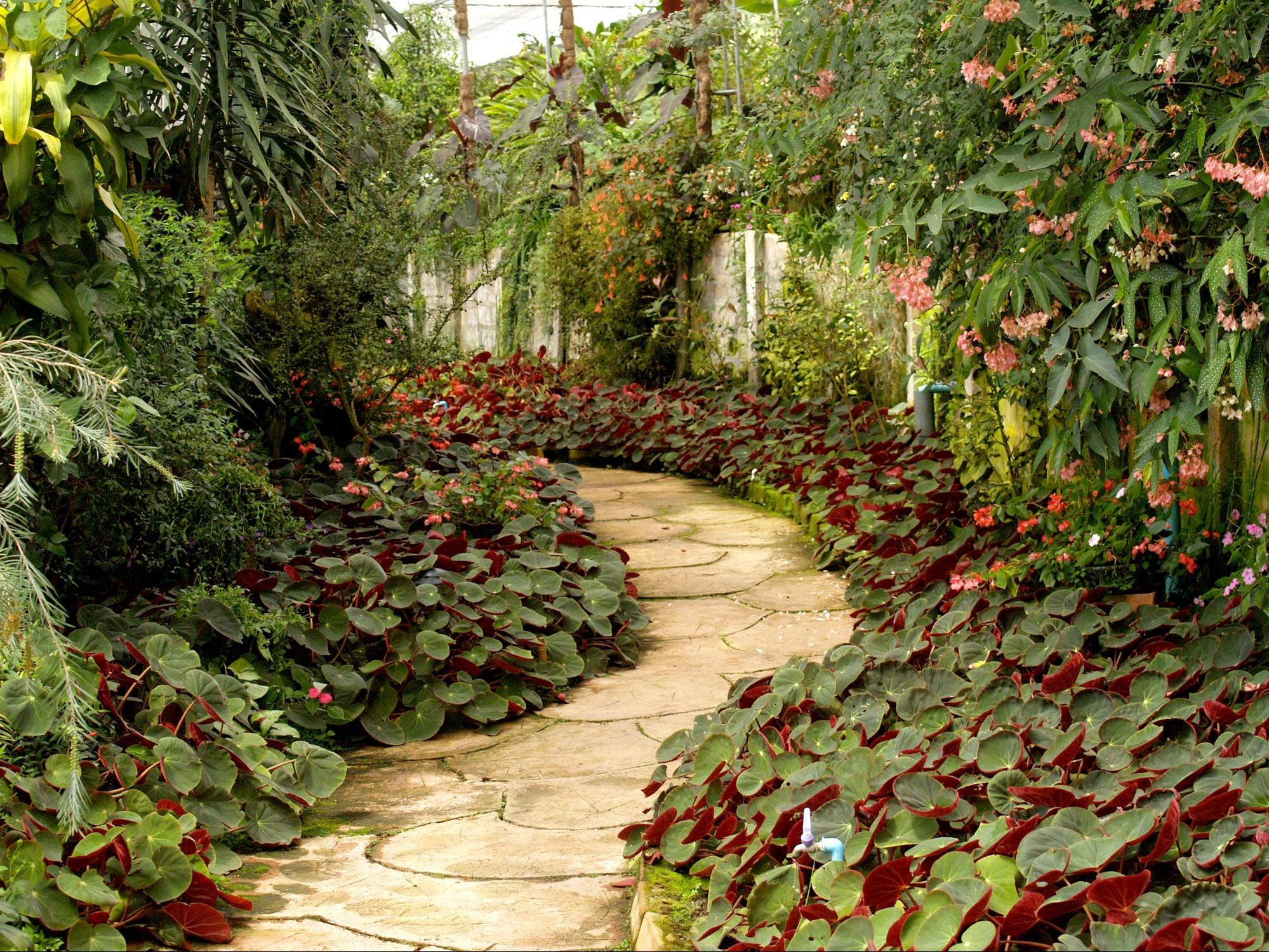 How much does landscaping and gardening cost in Sydney