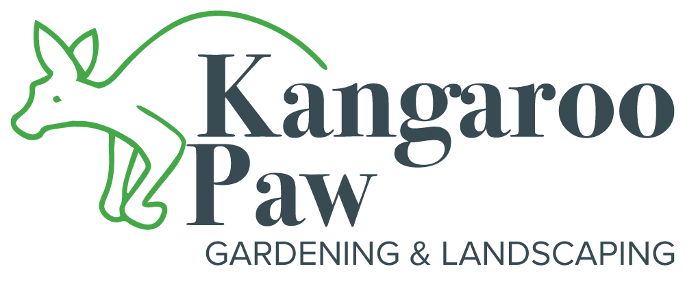 Kangaroo Paw Gardening