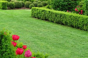 Easy Tips for Maintaining a Clean and Tidy Garden