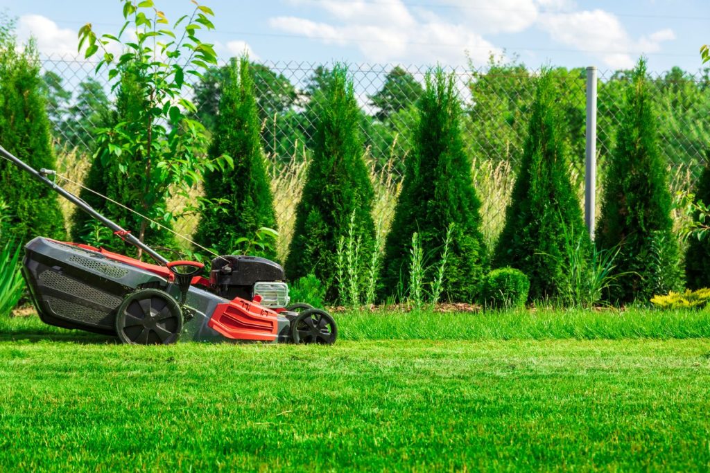 Benefits of Regular Lawn Mowing and Garden Care