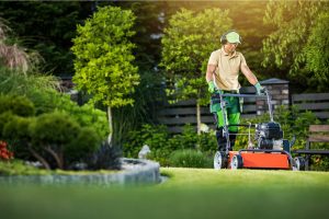 Benefits of Regular Lawn Mowing and Garden Care in Sydney