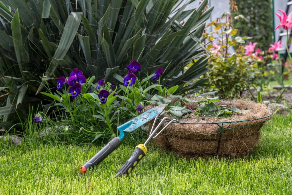 Coastal Gardening Tips