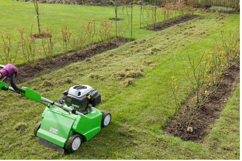 Weed and Pest Control Through Garden Maintenance
