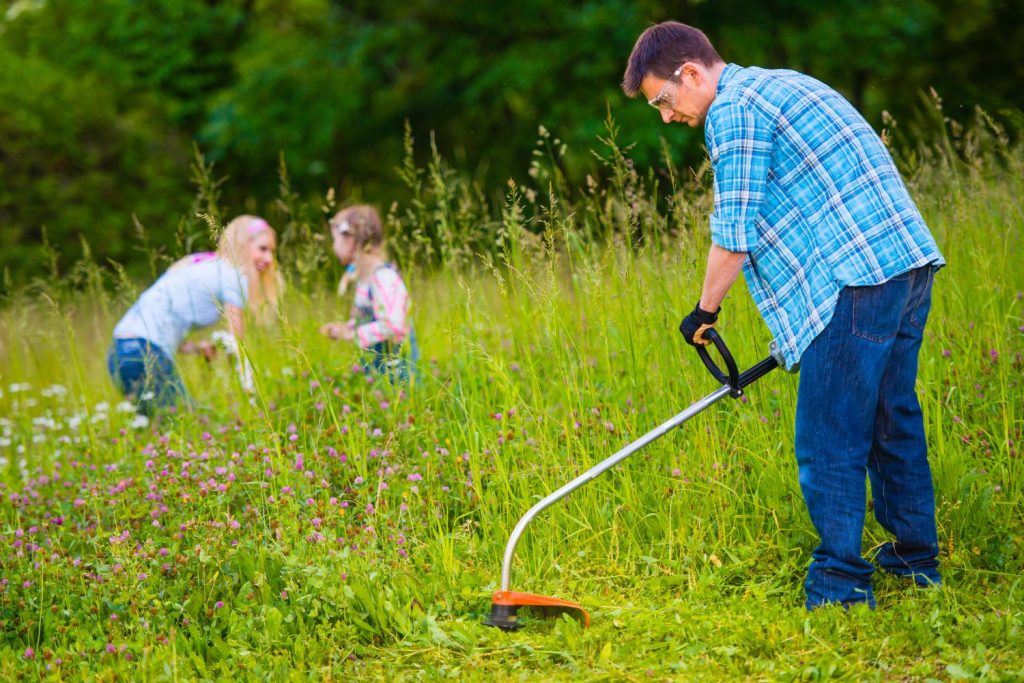 weed and feed your lawn.