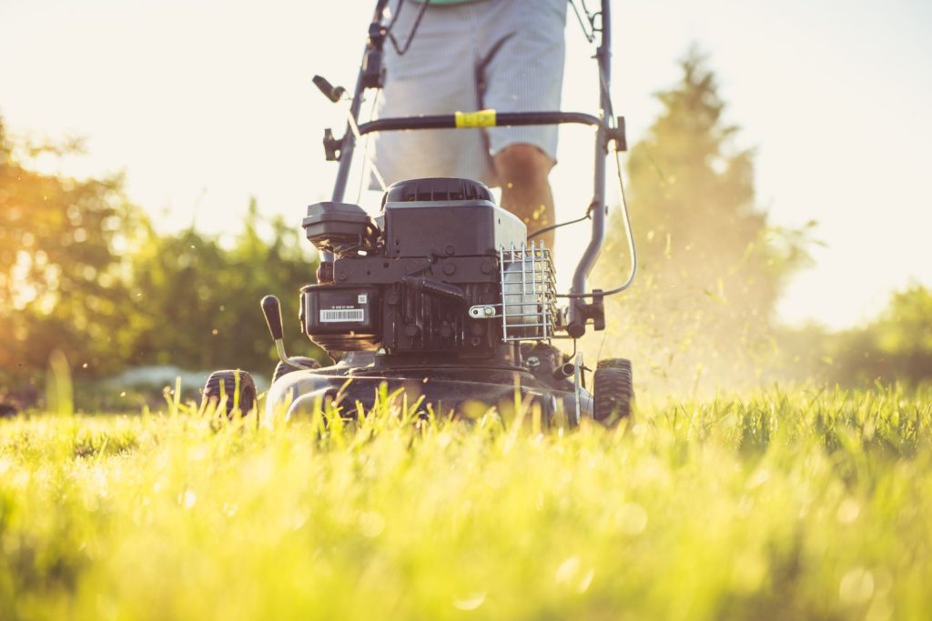 Sydney’s Climate for Lawn Care