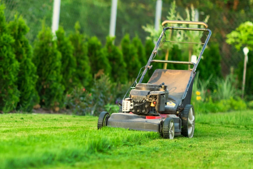 Landscaping Mistakes Sydney