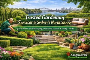 Trusted Gardening Services in Sydney’s North Shore: Expert Garden Care in Willoughby, Chatswood, Mosman & Nearby Suburbs